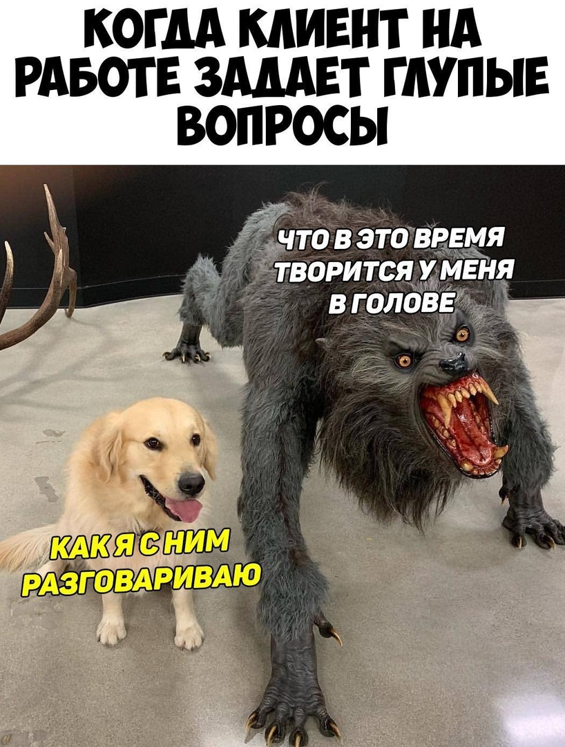 КОГДА КЛИЕНТ НА РАБОТЕ ЗАМЕТ ГАУПЫЕ ВОПРОСЫ _ это врвмя вня