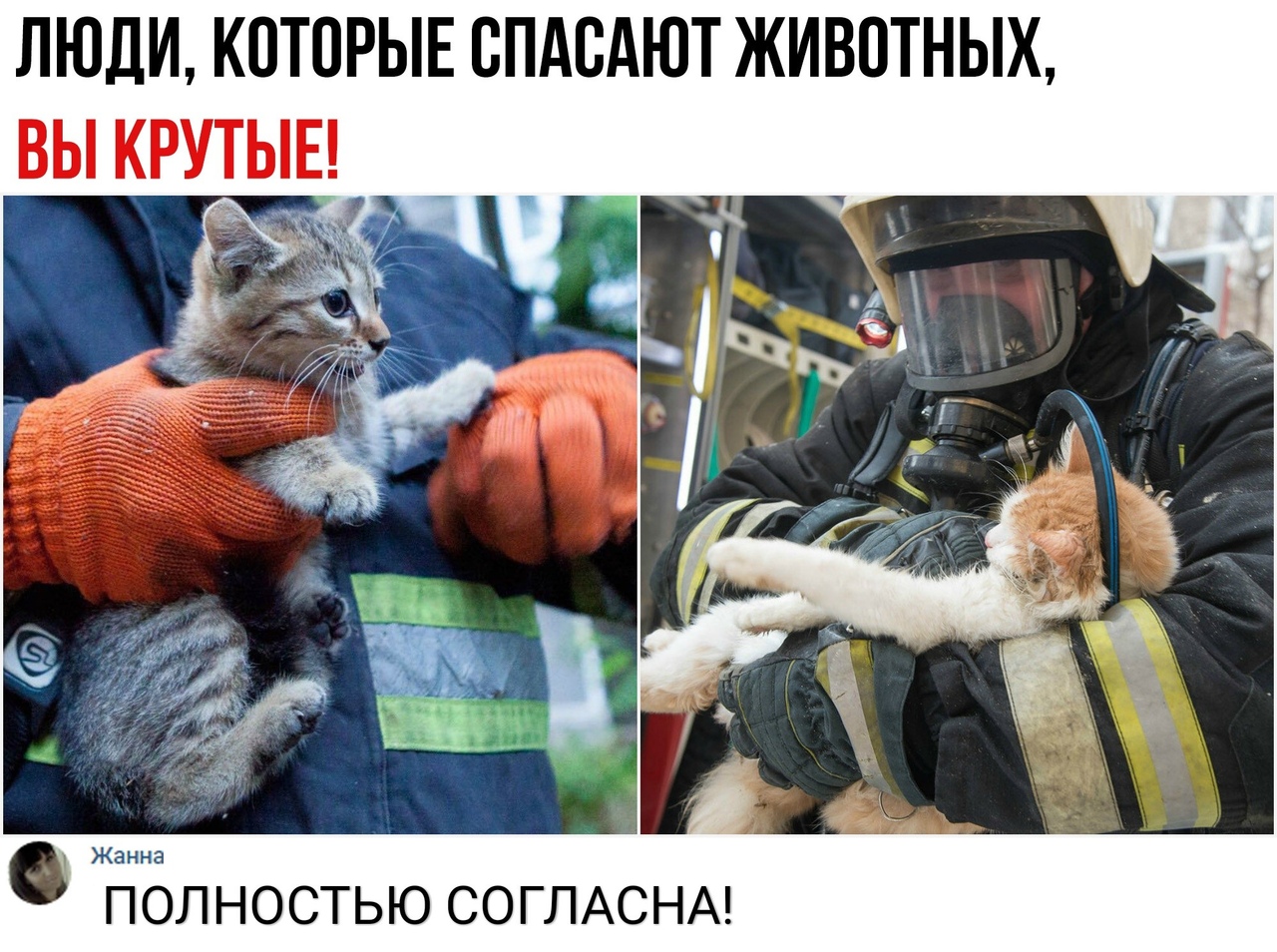 люди КОТОРЫЕ спдсдют животных вы КРУТЫЕ ПОЛНОСТЬЮ СОГЛАСНА
