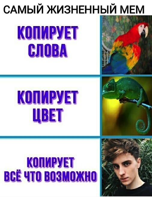 САМЫЙ ЖИЗНЕННЫЙ МЕМ ЕЕЩЁЕГТЕТ ВПП ЕЁБПЁЪ ТЕТ