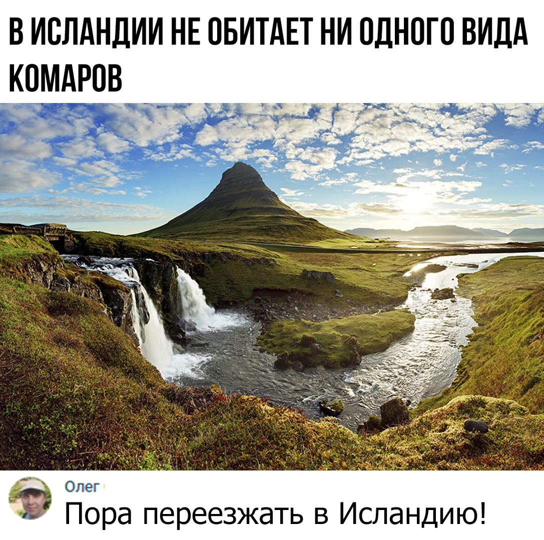 В ИОЛАНДИИ НЕ ОБИТАЕТ НИ ОДНОГО ВИДА КОМАРОВ Оег Пора переезжать в Исландию