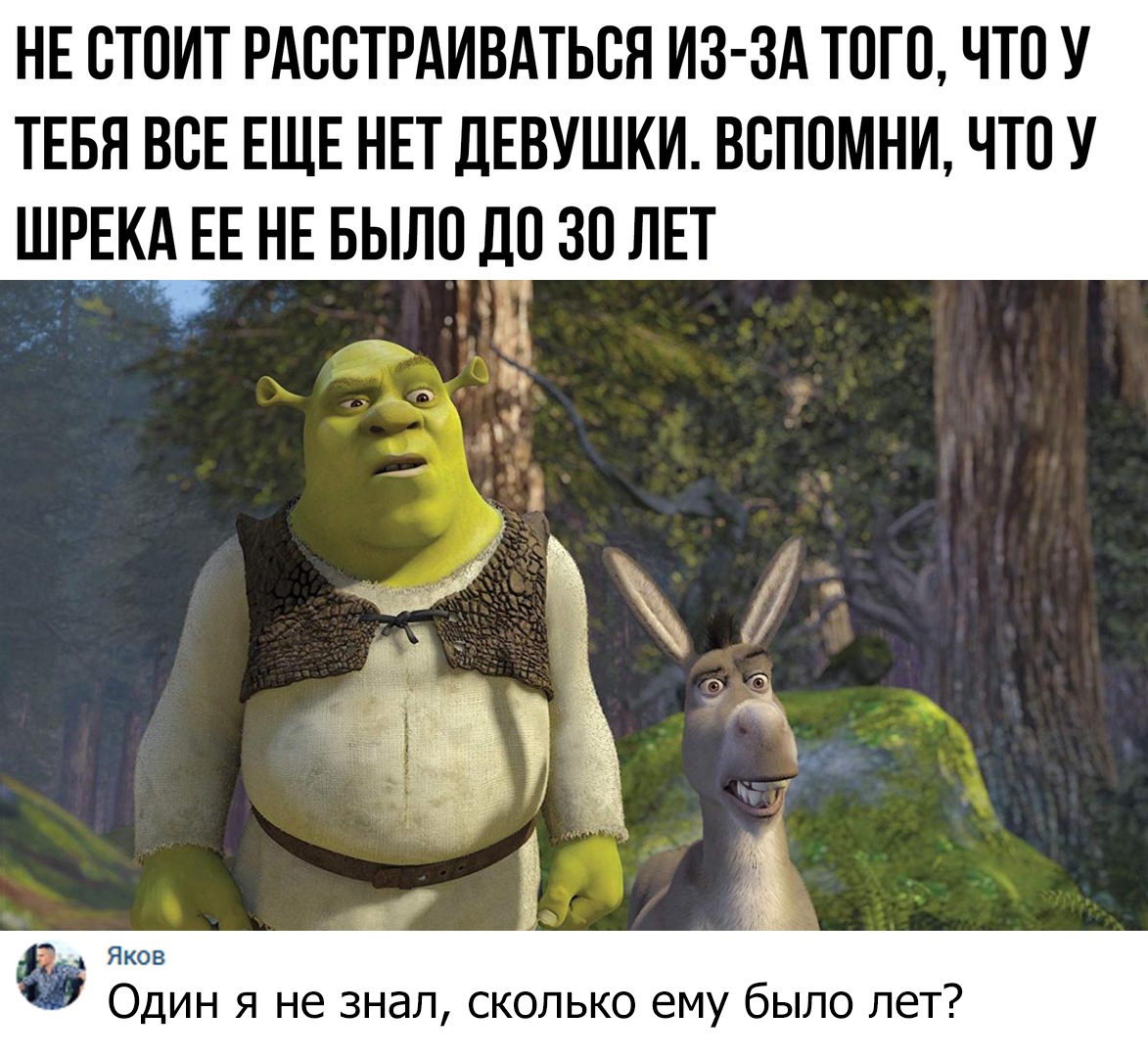НЕ ОТОИТ РАООТРАИВАТЬОЯ ИЗ ЗА ТОГО ЧТО У ТЕБЯ ВОЕ ЕЩЕ НЕТ ДЕВУШКИ ВОПОМНИ ЧТО У ШРЕКА ЕЕ НЕ БЫЛО ДО ЗО ЛЕТ Яков Один я не знал сколько ему было лет