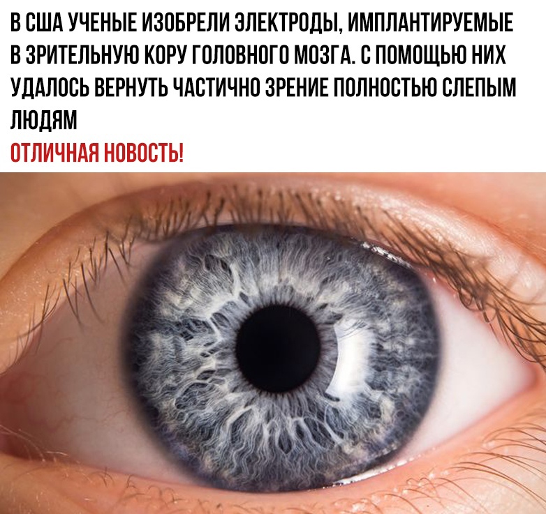 В США УЧЕНЫЕ ИЗОБРЕЛИ 3ПЕКТРОДЫ ИМПЛАНТИРУЕМЫЕ В ЗРИТЕЛЬНУЮ КОРУ ГОЛОВНОГО МОЗГА О ПОМОЩЬЮ НИХ УЛАЛООЬ ВЕРНУТЬ ЧАОТИЧНО ЗРЕНИЕ ПОЛНООТЫО ОПЕПЫМ ЛЮДЯМ ОТЛИЧНАЯ НОВОСТЬ