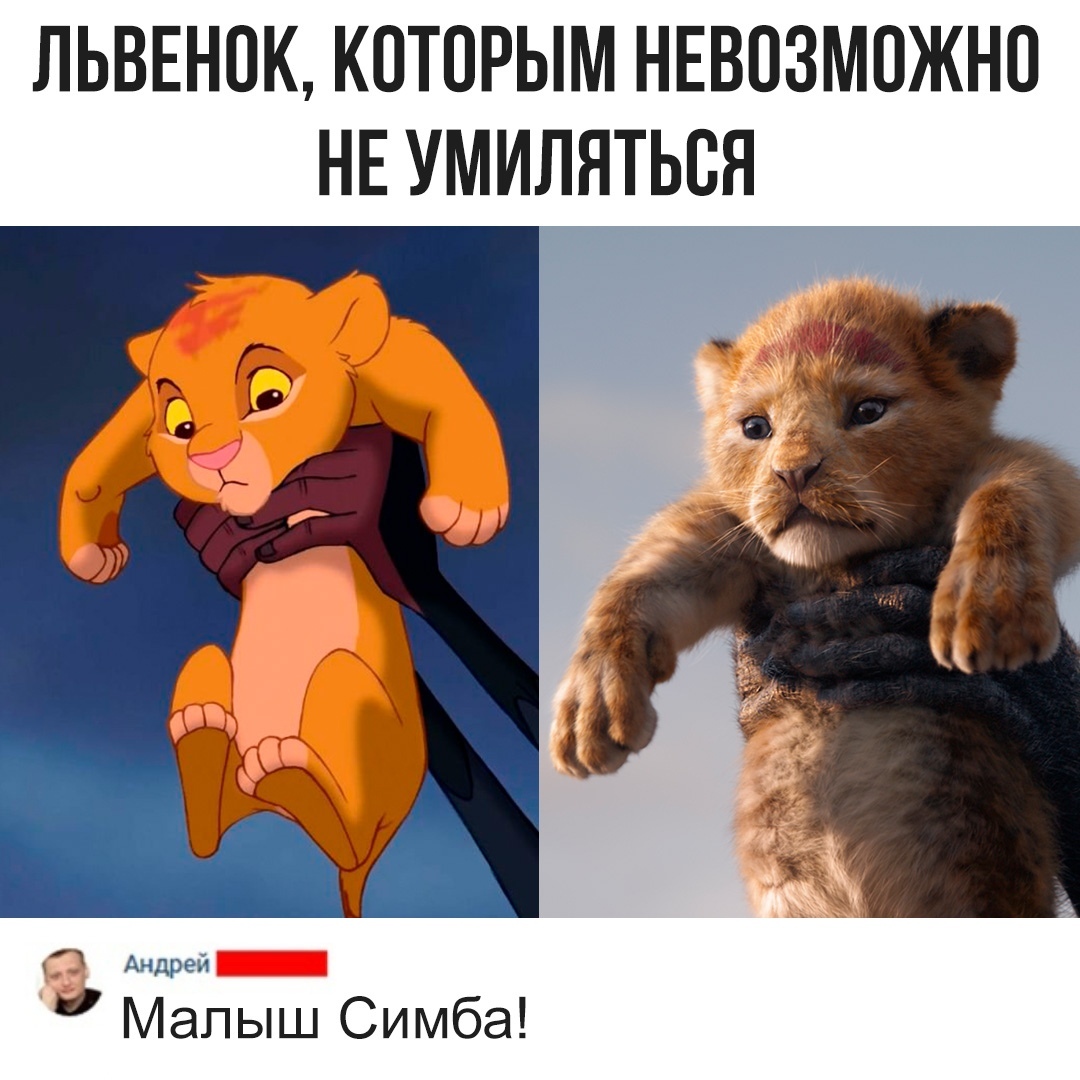 ЛЬВЕНОК КОТОРЫМ НЕВОЗМОЖНО НЕ УМИЛНТЬОЯ Андрей Малыш Симба