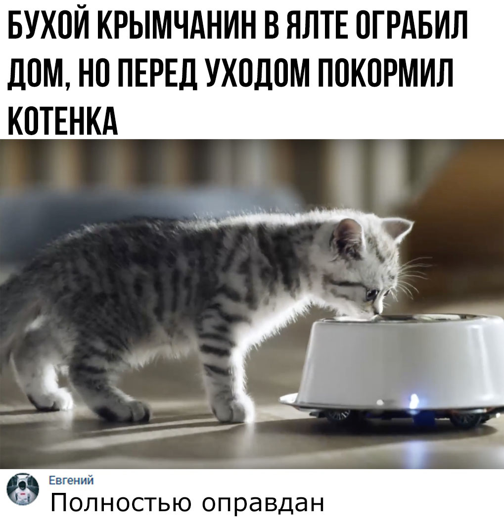 БУХПЙ КРЫМЧАНИН В ЯЛТЕ ОГРАБИЛ ЛОМ НП ПЕРЕД УХОДПМ ПОКОРМИЛ КОТЕНКА Евгений Полностью оправдан