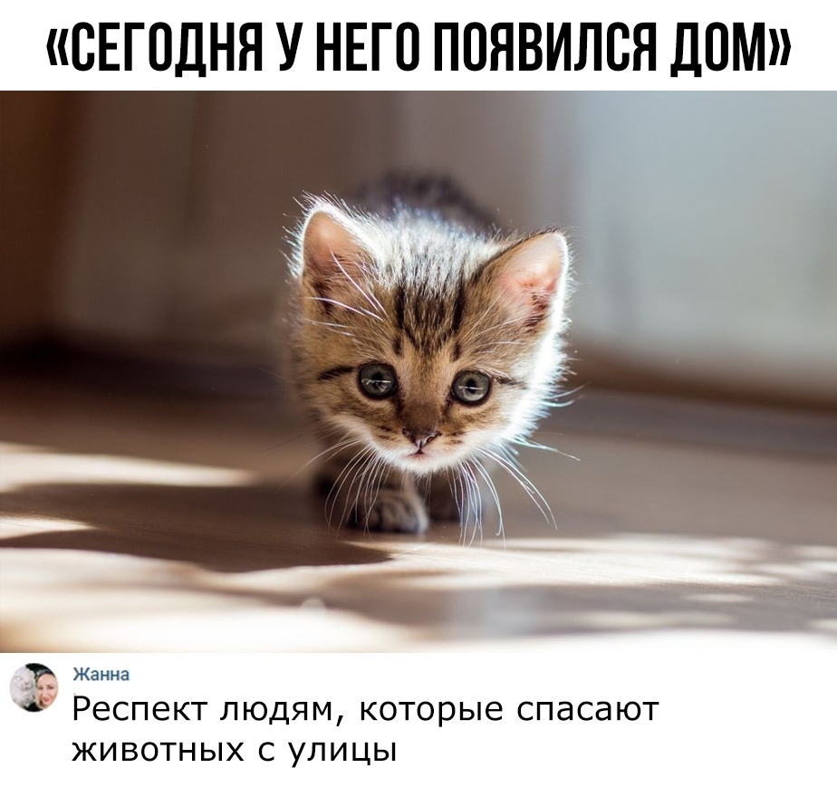СЕГОДНЯ У НЕГО ПОЯВИЛСЯ ДОМ Жанна Респект людям которые спасают ЖИ ВОТН ЫХ С УПИ ЦЫ