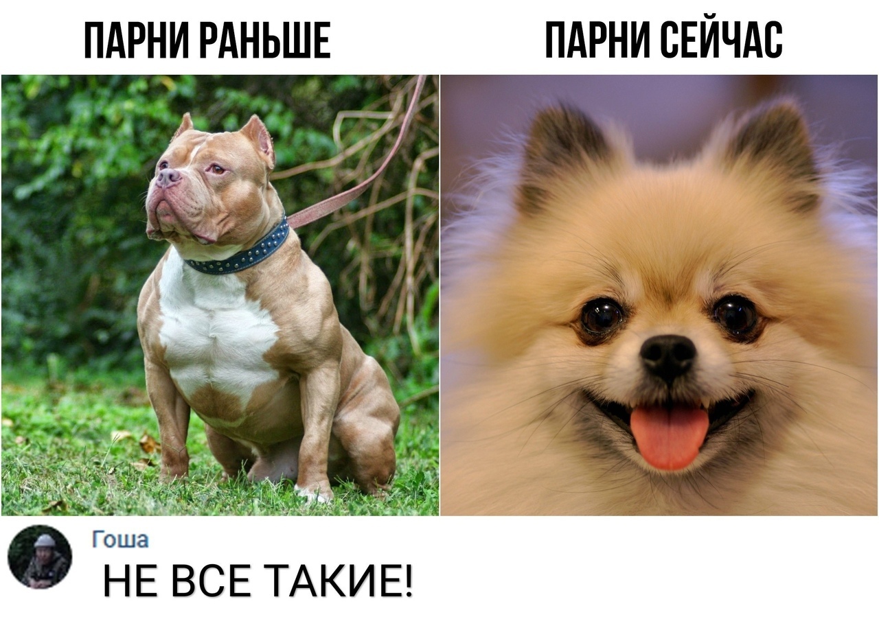 ПАРНИ РАНЬШЕ ПАРНИ СЕЙЧАС НЕ ВСЕ ТАКИЕ