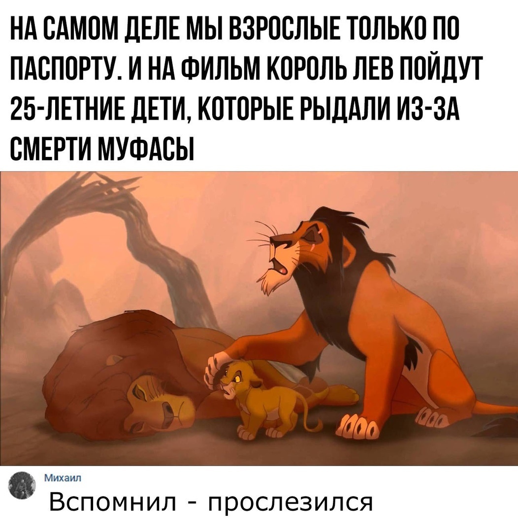 НА ОАМОМ дЕЛЕ МЫ ВЗРОСЛЫЕ ТОЛЬКО ПО ПАОПОРТУ И НА ФИЛЬМ КОРОЛЬ ЛЕВ ПОЙДУТ 25 ЛЕТНИЕ ДЕТИ КОТОРЫЕ РЫДАЛИ ИЗ ЗА СМЕРТИ МУФАОЫ Михаил Вспомнил прослезился