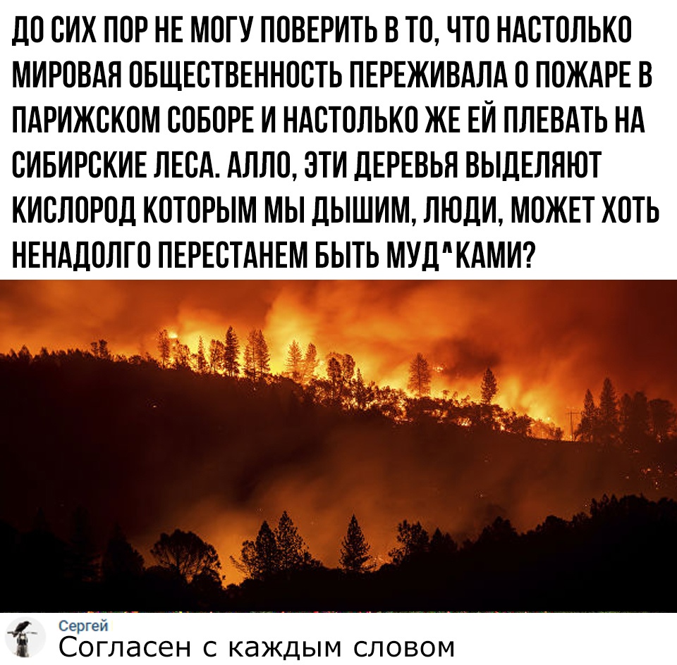 дО ОИХ ПОР НЕ МОГУ ПОВЕРИТЬ ВТО ЧТО НАОТОЛЬКО МИРОВАЯ ОБЩЕОТВЕННООТЬ ПЕРЕЖИВАЛА О ПОЖАРЕ В ПАРИЖОКОМ ООБОРЕ И НАОТОЛЬКО ЖЕ ЕИ ПЛЕВАТЬ НА ОИБИРОКИЕ ЛЕОА АЛЛО ЭТИ ДЕРЕВЬЯ ВЫДЕЛЯЮТ КИОЛОРОД КОТОРЫМ МЫ ДЫШИМ ЛЮДИ МОЖЕТ ХОТЬ НЕНАДОЛГО ПЕРЕСТАНЕМ БЫТЬ МУДКАМИ _ ьгеп СОГЛдСЕН С КдЖДЫМ СЛОВОМ