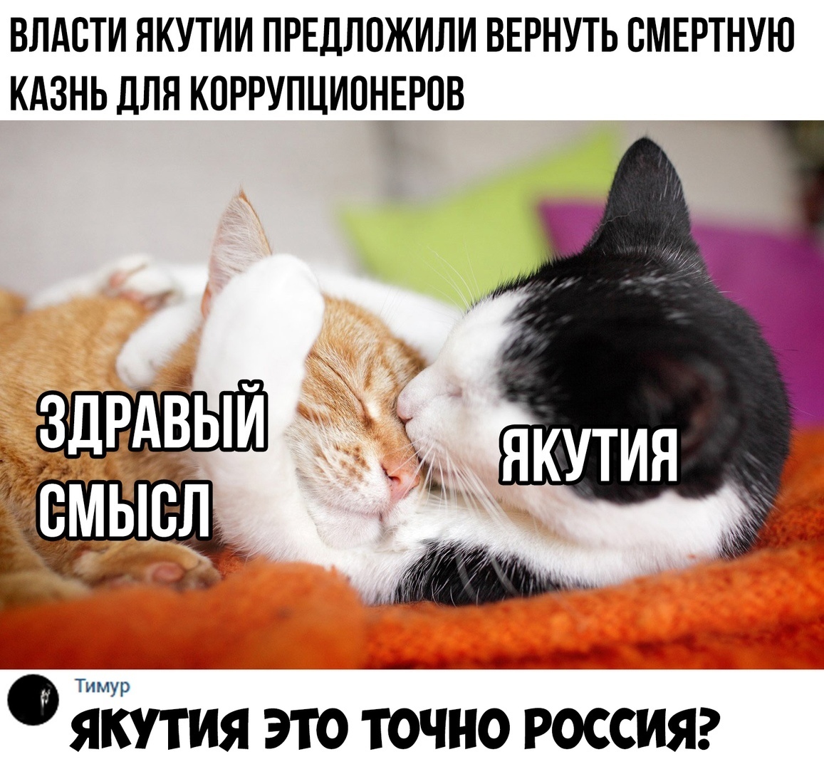 ВЛАСТИ ЯКУТИИ ПРЕДЛОЖИЛИ ВЕРНУТЬ СМЕРТНУЮ КАЗНЬ ДЛЯ КОРРУПЦИОНЕРОВ ЁЁутия это точію россияг
