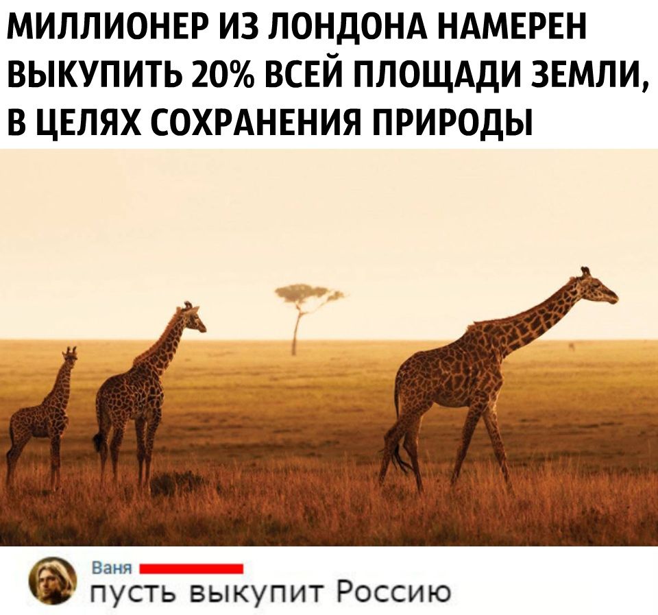 МИЛЛИОНЕР ИЗ ЛОНДОНА НАМЕРЕН ВЫКУПИТЬ 20 ВСЕЙ ПЛОЩАДИ ЗЕМЛИ В ЦЕЛЯХ СОХРАНЕНИЯ ПРИРОДЫ Ваня пусть выкупит Россию