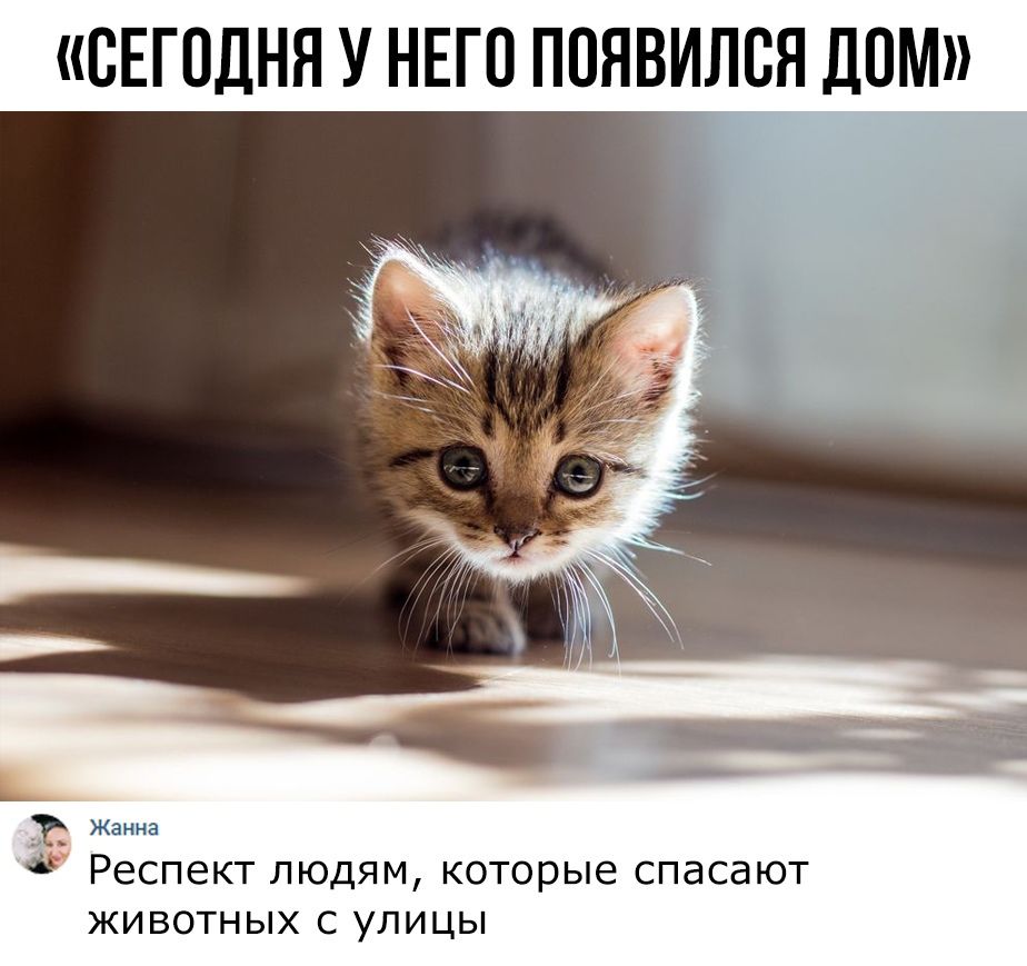 СЕГОДНЯ У НЕГО ПОЯВИЛСЯ ДОМ Ь Жанна Респект людям которые спасают ЖИ ВОТН ЫХ С УПИ ЦЫ