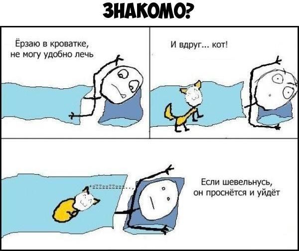 ЗНАКОМО Ёрзаю в кроватке и вдруг кот не могу удобно лечь Если шевельнусь он проснется и уйдёт