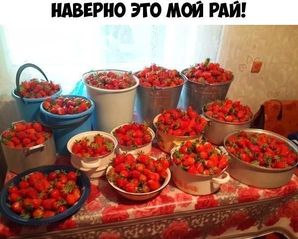 НАВЕРНО ЭТО МОЙ РАЙ
