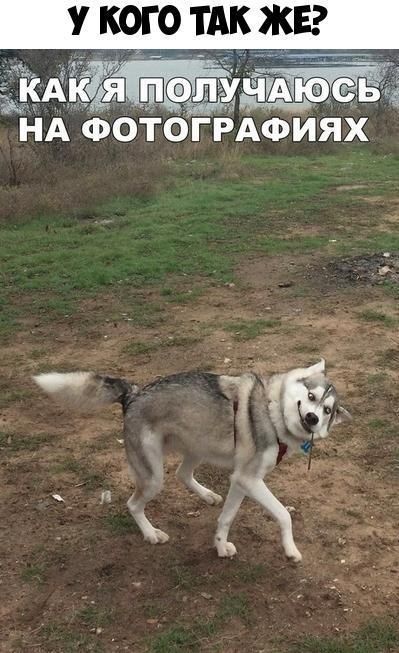 У КОГ ТАК ЖЕ