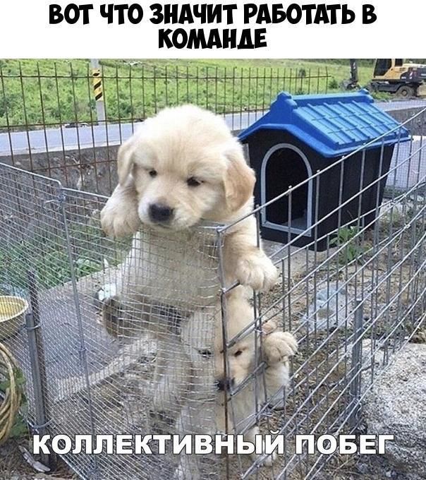 ВОТ ЧТО ЗНАЧИТ РАБОТАТЬ В
