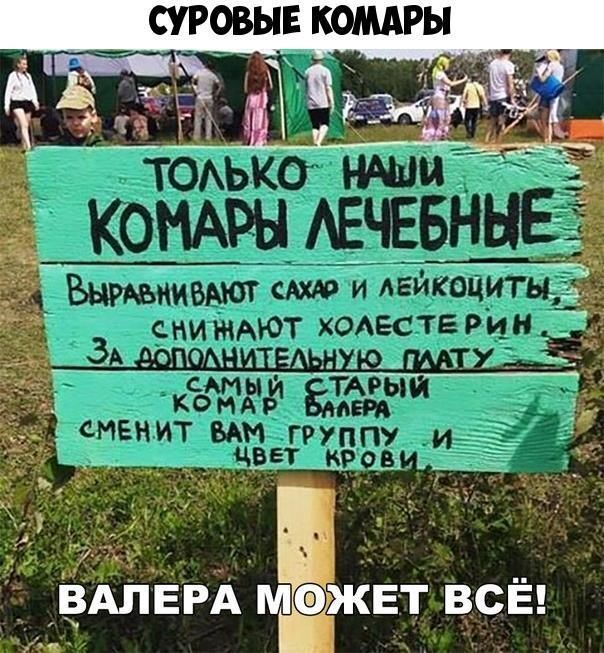 СУРОВЫЕ КОМАРЫ ЁАЛЕРА мЖЕ т всё