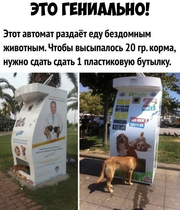 ЭТО ГЕНИМЬНО Этот автомат раздаёт еду бездомным животным Чтобы высыпалось 20 гр корма нужно сдать сдать 1 пластиковую бутылку