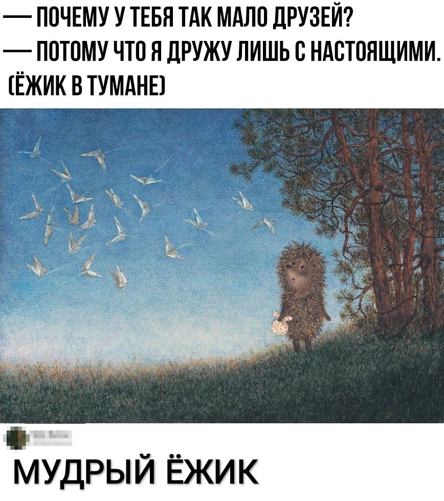 ПОЧЕМУ У ТЕБЯ ТАК МАЛО ДРУЗЕЙ ПОТОМУ ЧТО Я ДРУЖУ ЛИШЬ О НдОТОЯЩИМИ ЁЖИК В ТУМАНЕ мудрый Ёжик