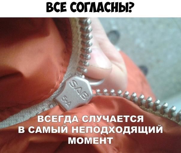 ВСЕ СОГЛАСНЫ