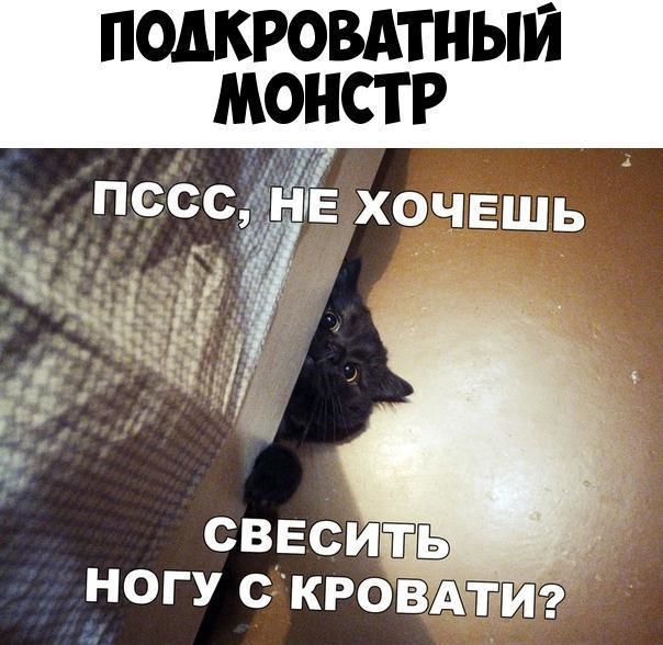 ПОДКРОВАТНЫЙ