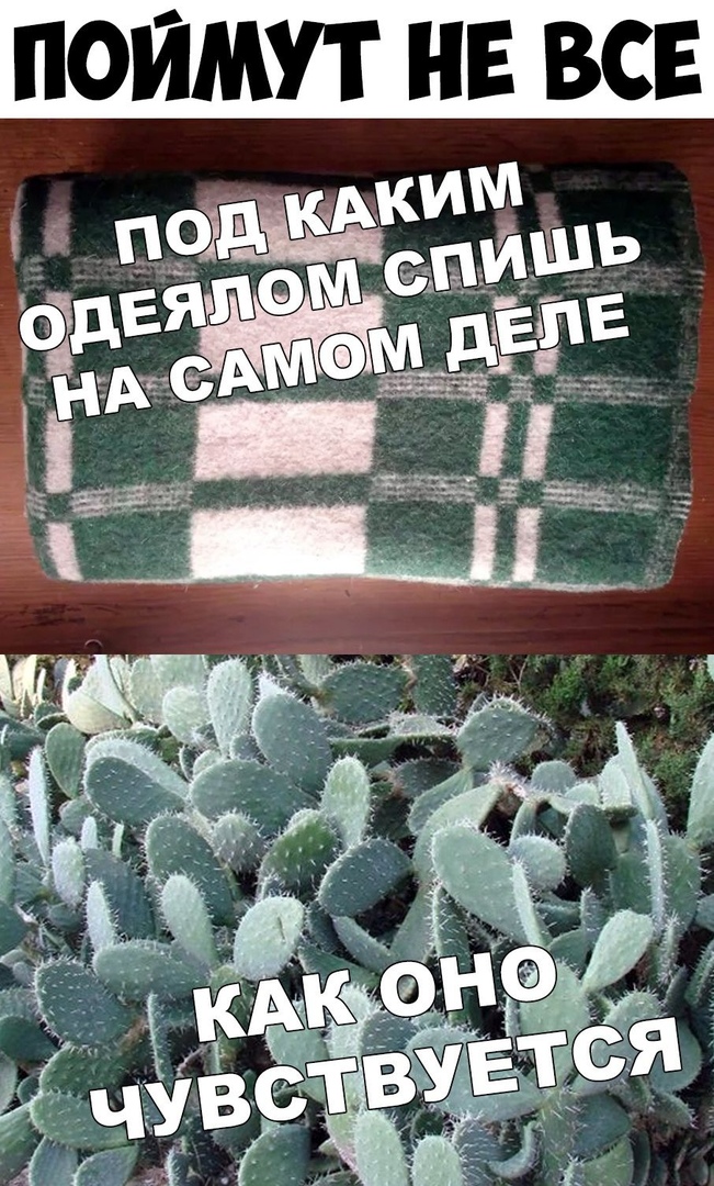 ПОЙМУТ НЕ ВСЕ
