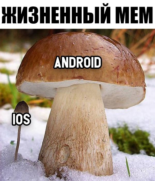 _