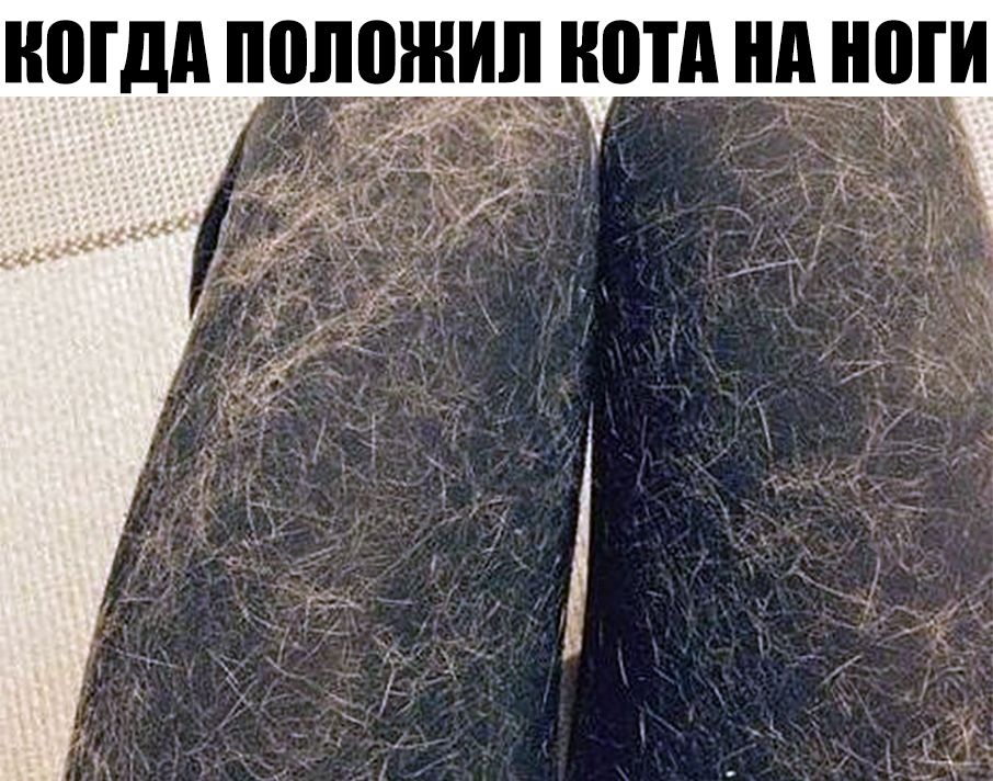 НПГДА положил ШПД нд ШМ