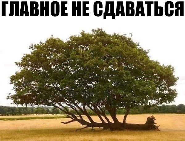 ПШВНВЕ НЕ ВддВдТЬВЯ АЦХЧъ С