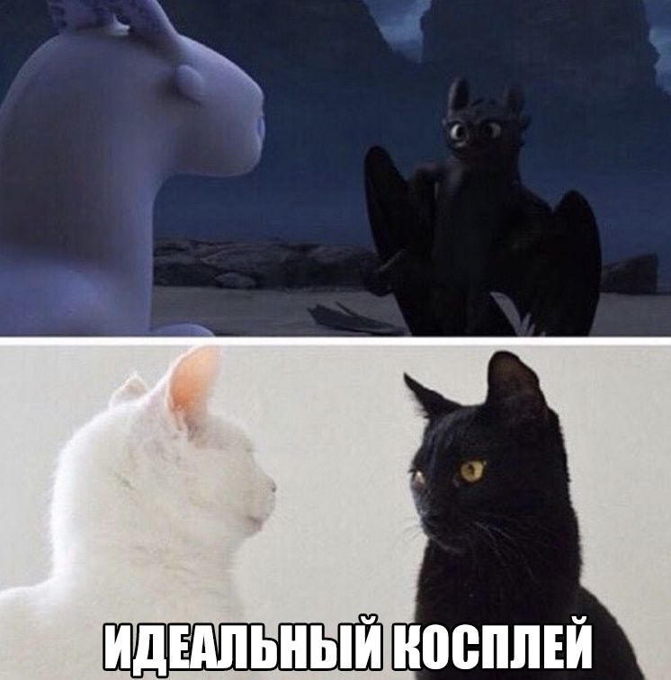 ИДЕАЛЬНЫЙ