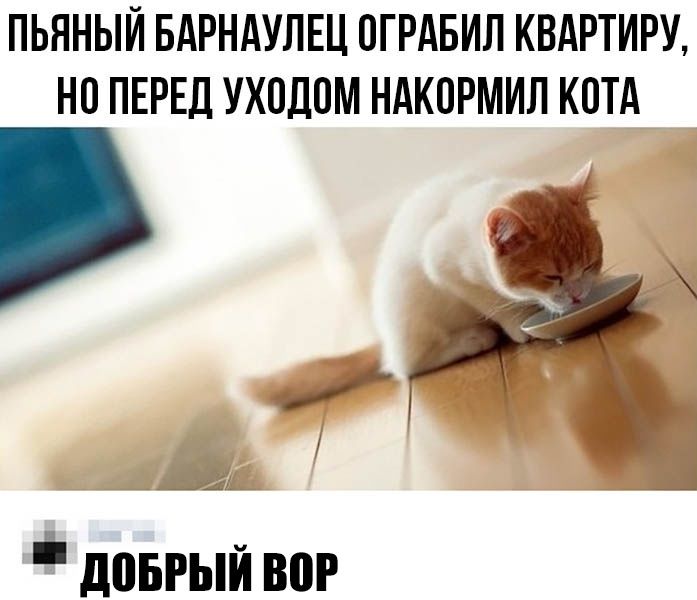 ПЬННЫЙ БАРНАУЛЕЦ ПГРАБИЛ КВАРТИРУ НП ПЕРЕД УХПДПМ НАКПРМИЛ КПТА дпвгый вор