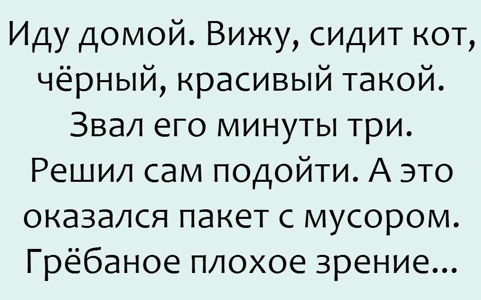 Иду домой Вижу сидит кот чёрный красивый такой Звал его минуты три Решил сам подойти А это оказался пакет с мусором Грёбаное плохое зрение