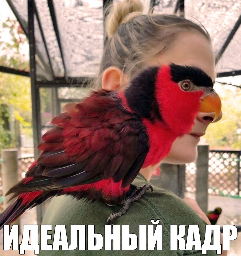 ИДЕШЬНЬШ ШШ