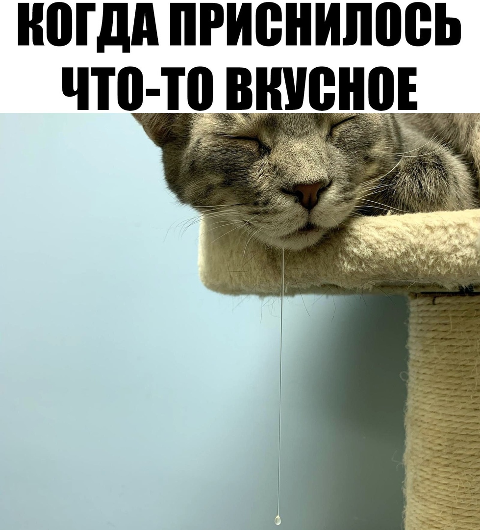 Юідд ПРИВНИШЮЬ что то ВШЮНОЕ
