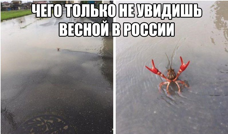 жчвгоцпьно ЦЕ ввеіюи ВИШНЕВЕ