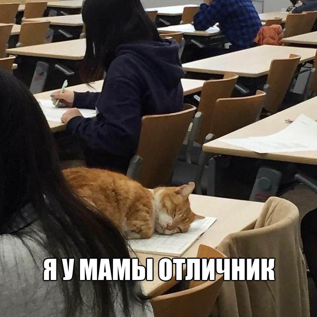 ЁПУМА