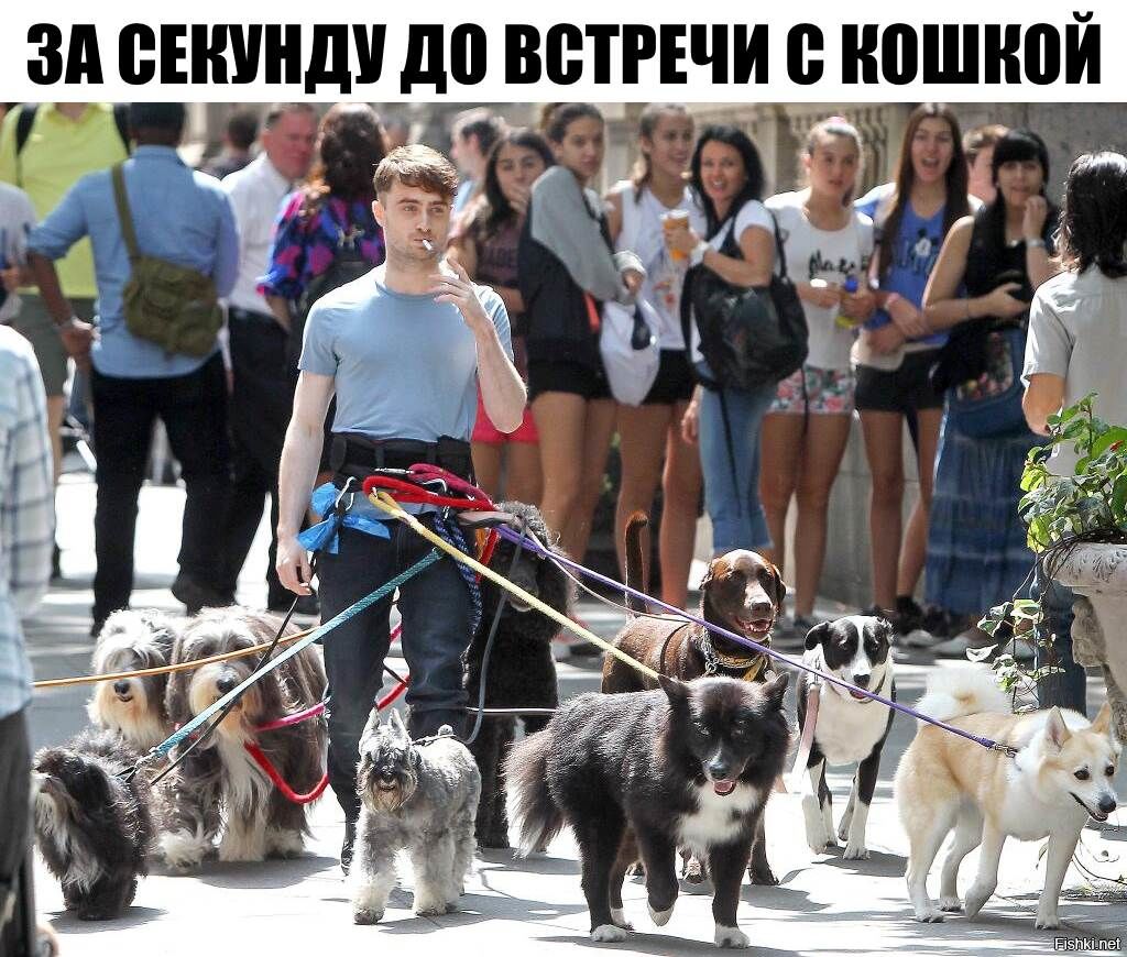 ЗА ВЕИУИдУ до ВСТРЕЧИ 0 И0ШИ0И