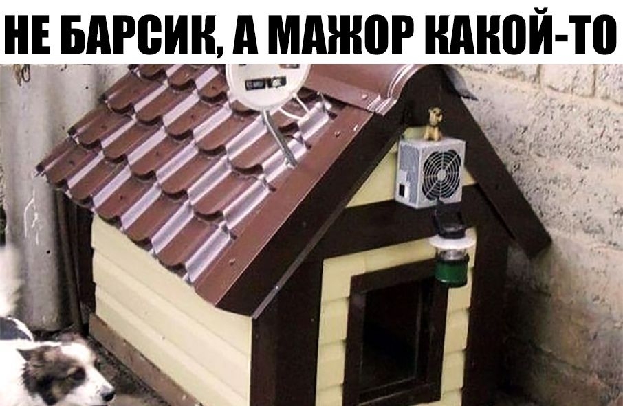 БАРВИН А МАНШР НАНПЙ ТП