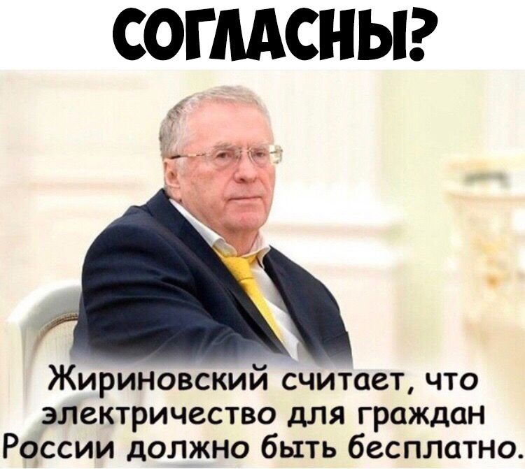СОГЛАСНЫ Жириновский считает что электричество для граждан России должна быть бесплатно