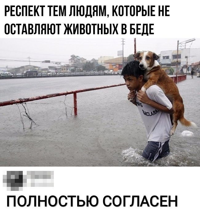 РЕСПЕКТ ТЕМ ЛЮДЯМ КОТОРЫЕ НЕ ВСТАВЛЯЮТ ЖИВВТНЫХ В БЕДЕ ПОЛНОСТЬЮ СОГЛАСЕН