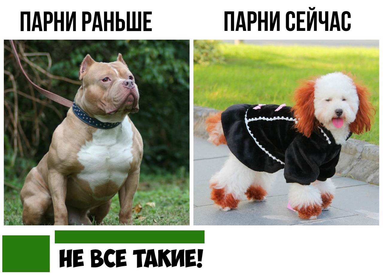 ПАРНИ РАНЬШЕ ПАРНИ СЕЙЧАС НЕ ВСЕ ТАКИЕ