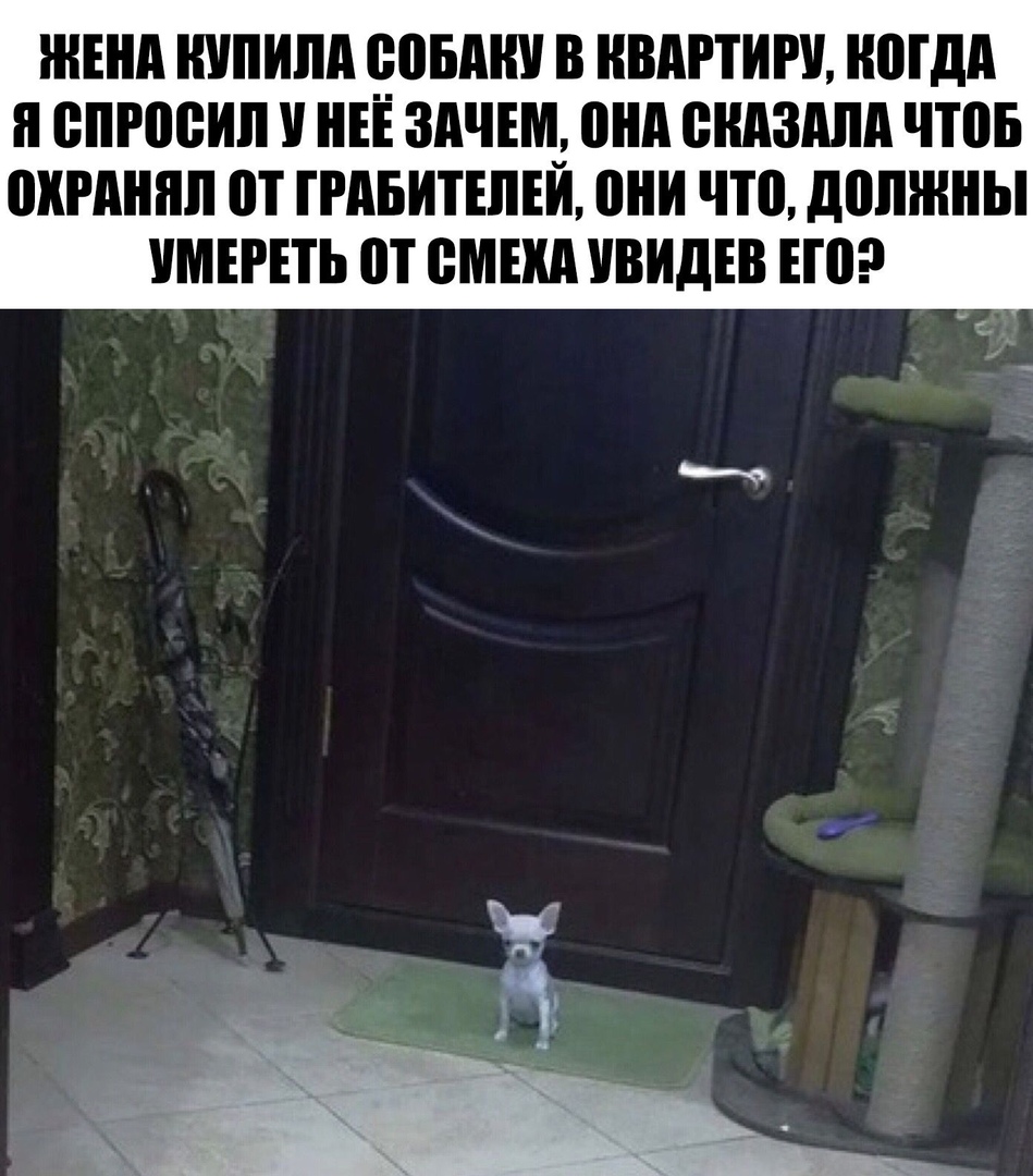 ЖЕНА ШШИПА доши В КВАРТИРУ НШдА н ВПРШБИЛ НЕЕ ЗАЧЕМ 0А ЖАЗАЛА ЧШБ ОХРАНА ПТ ПАБИТЕЛЕЙ 0И ЧШ должны УМЕРЕТЬ П СМЕНА УВИДЕВ ЕП