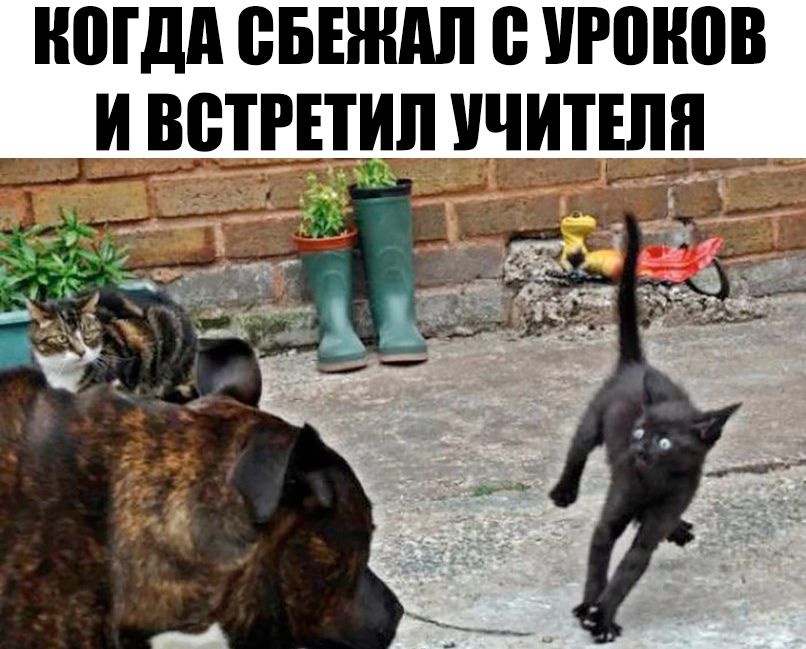 ИПГДА ВБЕИИШ 0 УРЩЮВ __И ВБЕЕТИЛ ИЧИТЕЛИ
