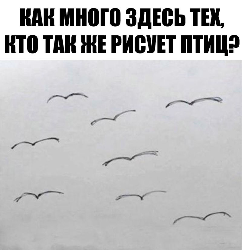 ШШ много ЗДЕВЬ ТЕК НТП П Е РИВУЕТ ПТИЦ