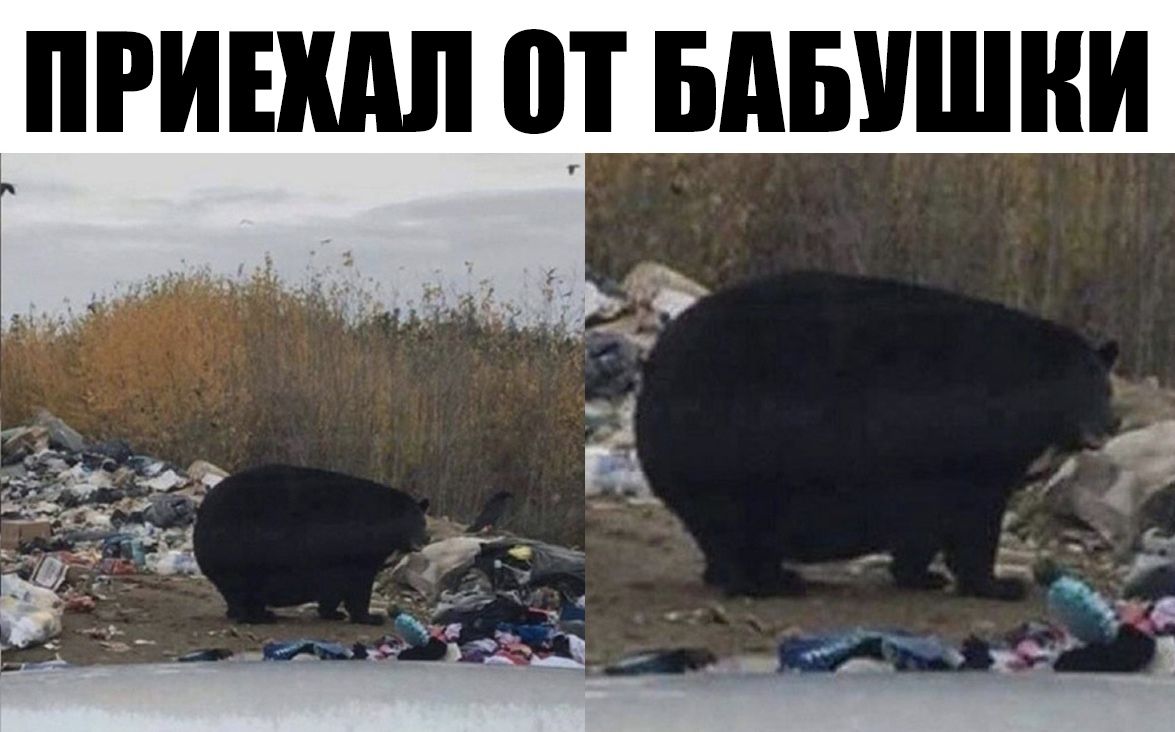 ПРИЕШШ Ш БАБУШКИ