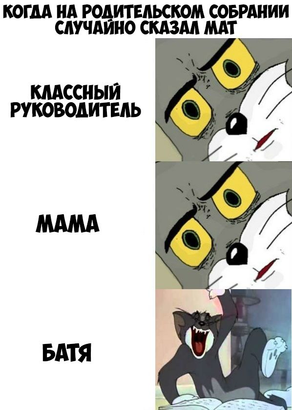 КОГЛА НА ИТЕЛЬСКОМ СОБРАНИИ СЛУЧА ИО СКАЗАЛ МАТ КЛАССНЫЙ РУКОВОДИТЕЛЬ БАТЯ
