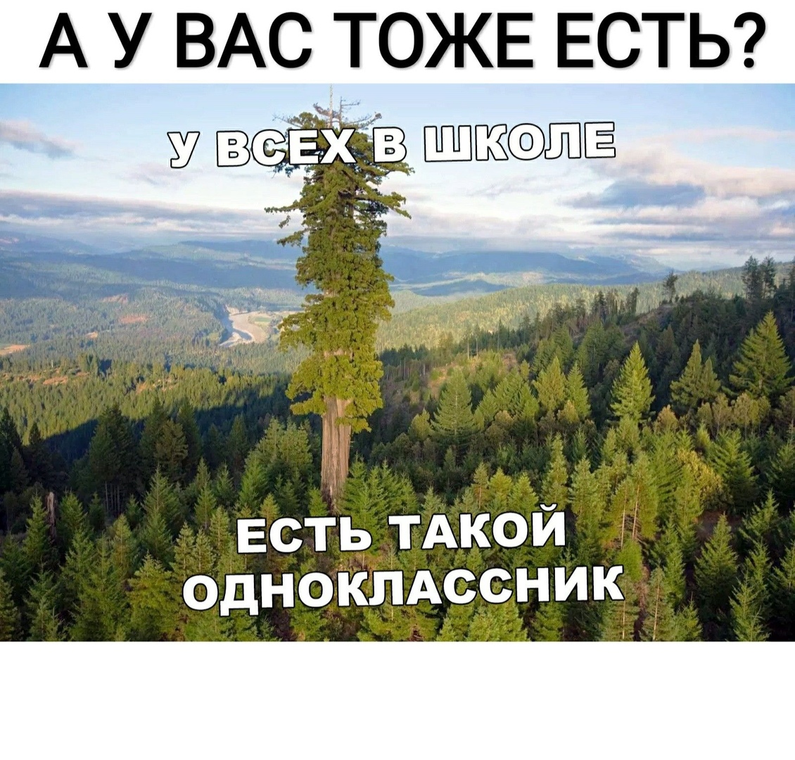 А У ВАС ТОЖЕ ЕСТЬ есть ТАКОЙ ОДНОКЛАссник