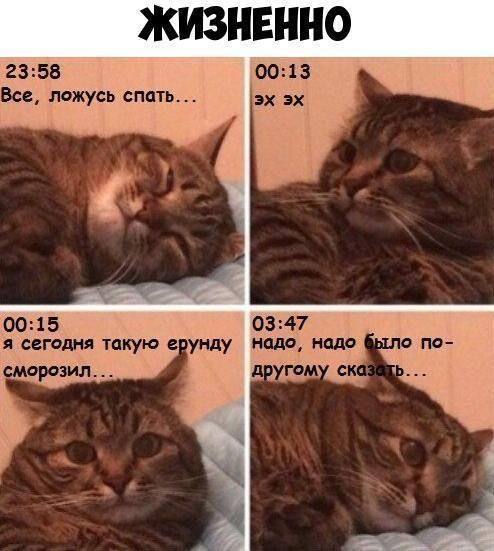 ЖИЗНЕННО 2358 Все ложусь спать 03 47 унду надо надо