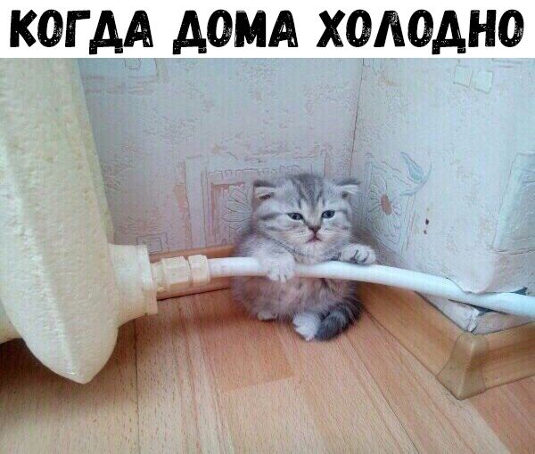 КОГ АА ДОМА ХОАОАНО