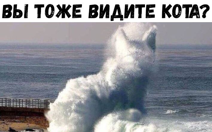 ВЫ ТОЖЕ ВИАИТЁ ОТА