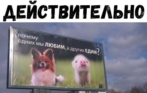 действительно почву Одних КБим И ИЕди7_